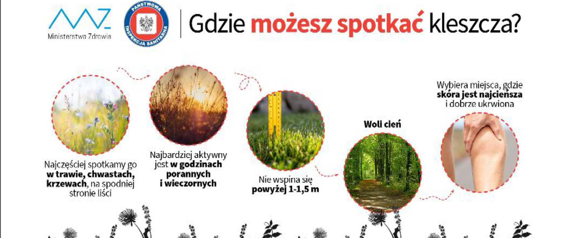 Sposoby Zapobiegania Chorobom Przenoszonym Drogą Oddechową
