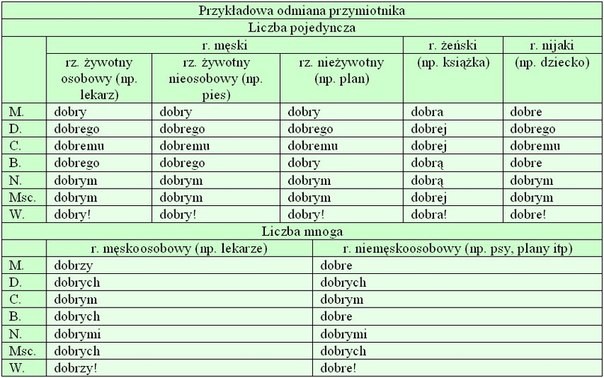 ZASADY GRAMATYKI - Сайт p4olkinascool! Alicja Nagórko Zarys Gramatyki Polskiej