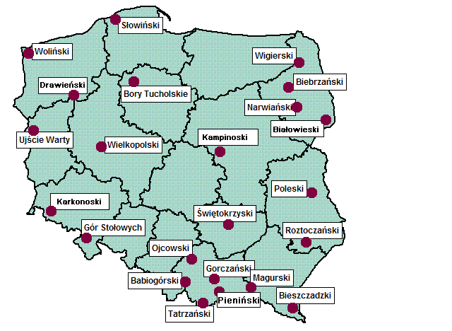 Na Mapie Polski Zaznaczono Wybrane Parki Narodowe Zapisz Ich Nazwy
