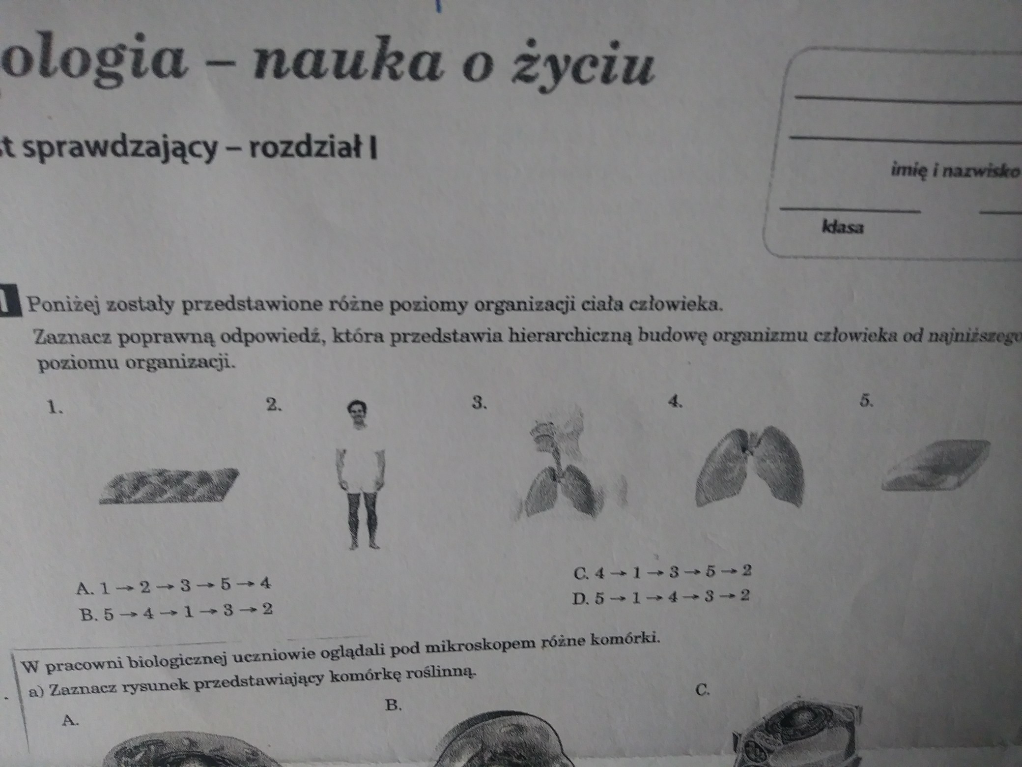 Poznajemy świat Organizmów Sprawdzian Klasa 4 Pdf