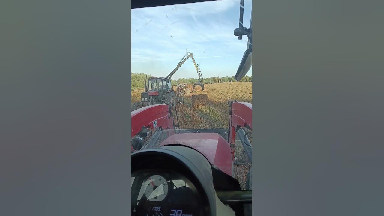 Zajęcie Braci Kóz U Kornela Makuszyńskiego