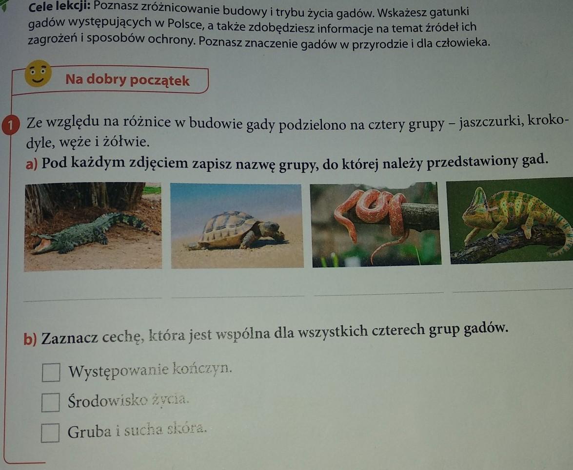 Ze względu na różnice w budowie gady podzielono na cztery grupy Zaznacz Ceche Ktora Jest Wspolna Dla Wszystkich Czterech Grup Gadow