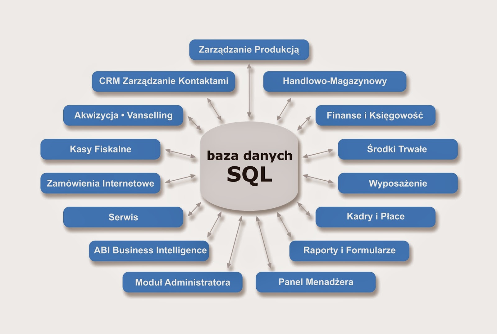 Bazy Danych I Systemy Baz Danych Wsip Pdf