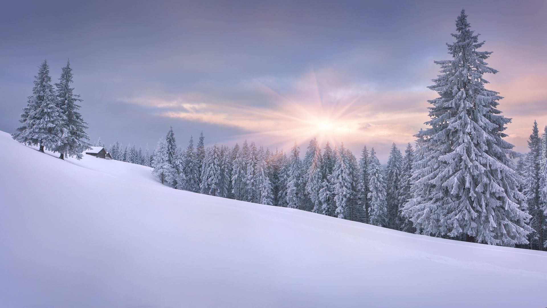 Zima, Las, Świerki, Wschód słońca, Chmury, Mgła, Dom | Scenery, Nature Okrycie Zimowe Ze Skór Zwierzęcych