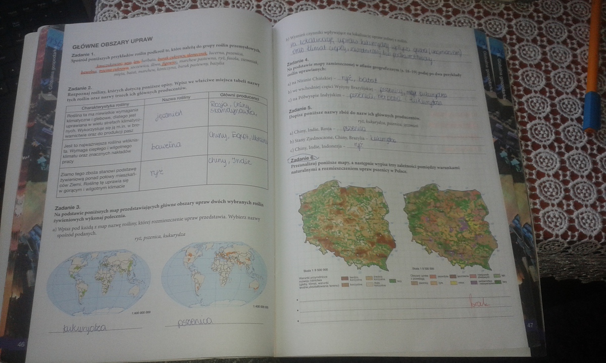 Sprawdzian Geografia Nowa Era 1 Liceum Globalna Gospodarka