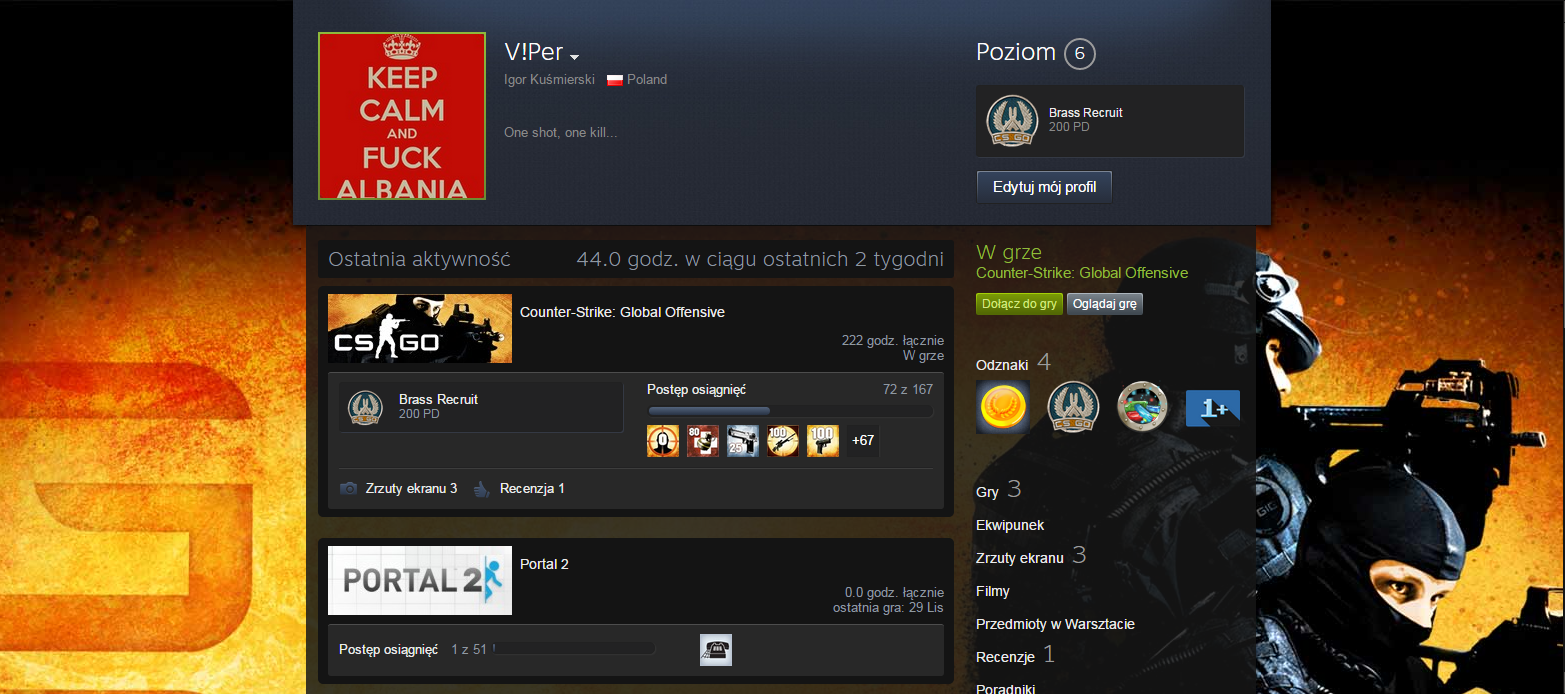 Fajne Nicki Do Cs Go
