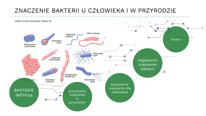 Znaczenie Bakterii W Przyrodzie