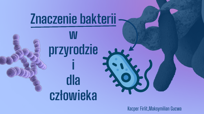 Znaczenie bakterii w przyrodzie i dla człowieka by Kacper Firlit on Prezi Znaczenie Bakterii W Przyrodzie