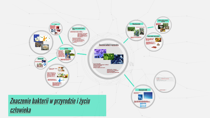 Jakie Jest Znaczenie Bakterii W Przyrodzie