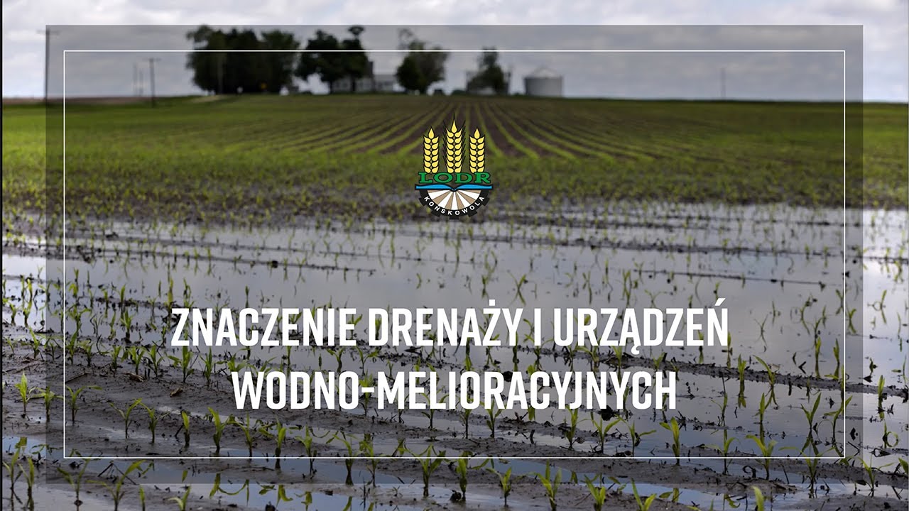 Znaczenie drenaży i urządzeń wodno melioracyjnych - YouTube Dreny Melioracyjne A Budowa Domu