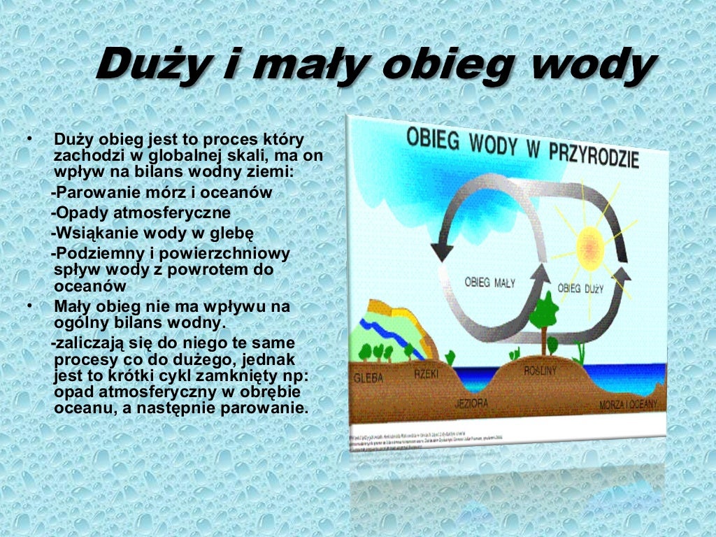 Znaczenie Gadów W Przyrodzie I Dla Człowieka - Margaret Wiegel Znaczenie Gadow W Przyrodzie I Dla Czlowieka