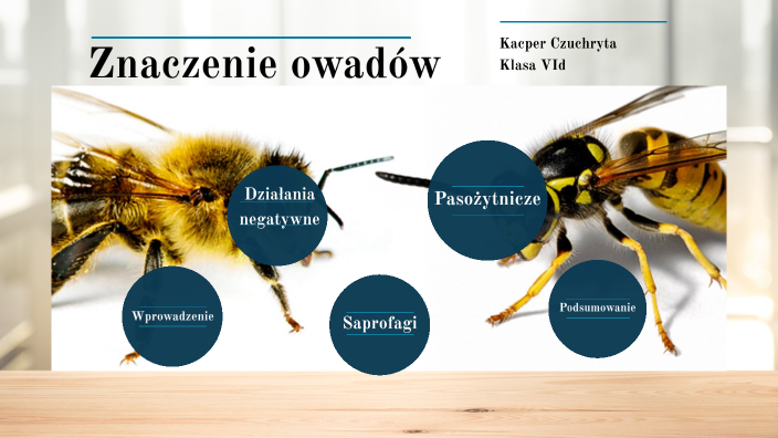 Znaczenie owadów by Edyta Czuchryta on Prezi Znaczenie Grzybów W Przyrodzie I Dla Człowieka