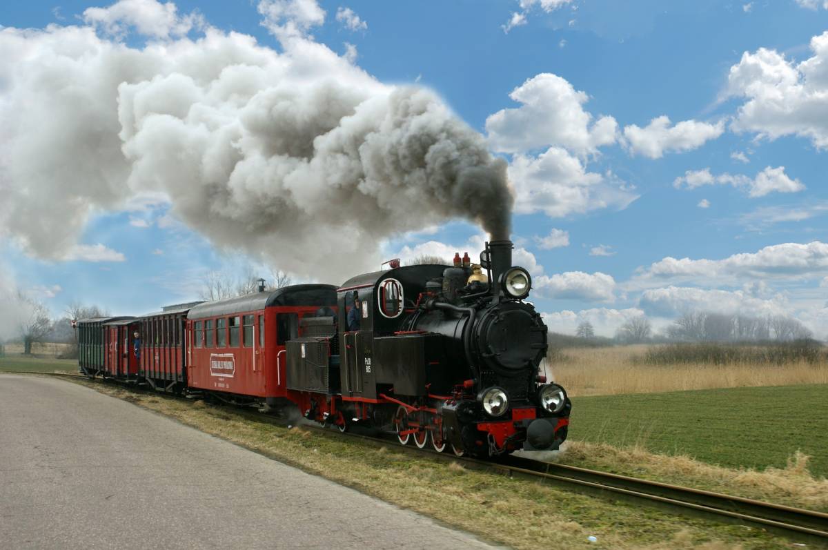 Kto Napisał Pies Który Jeździł Koleją