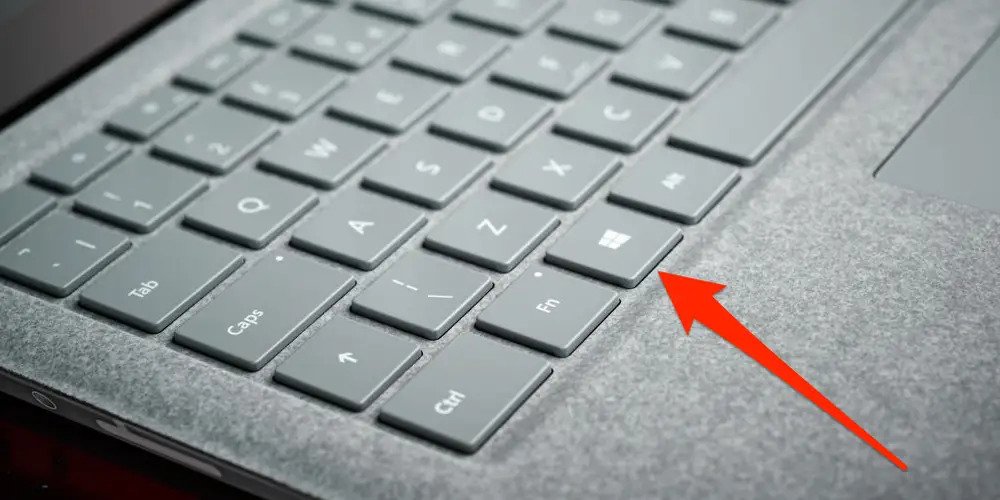 Zrzut ekranu - jak zrobić screena na komputerze i laptopie? · Testoria Jak Się Robi Małpę Na Laptopie