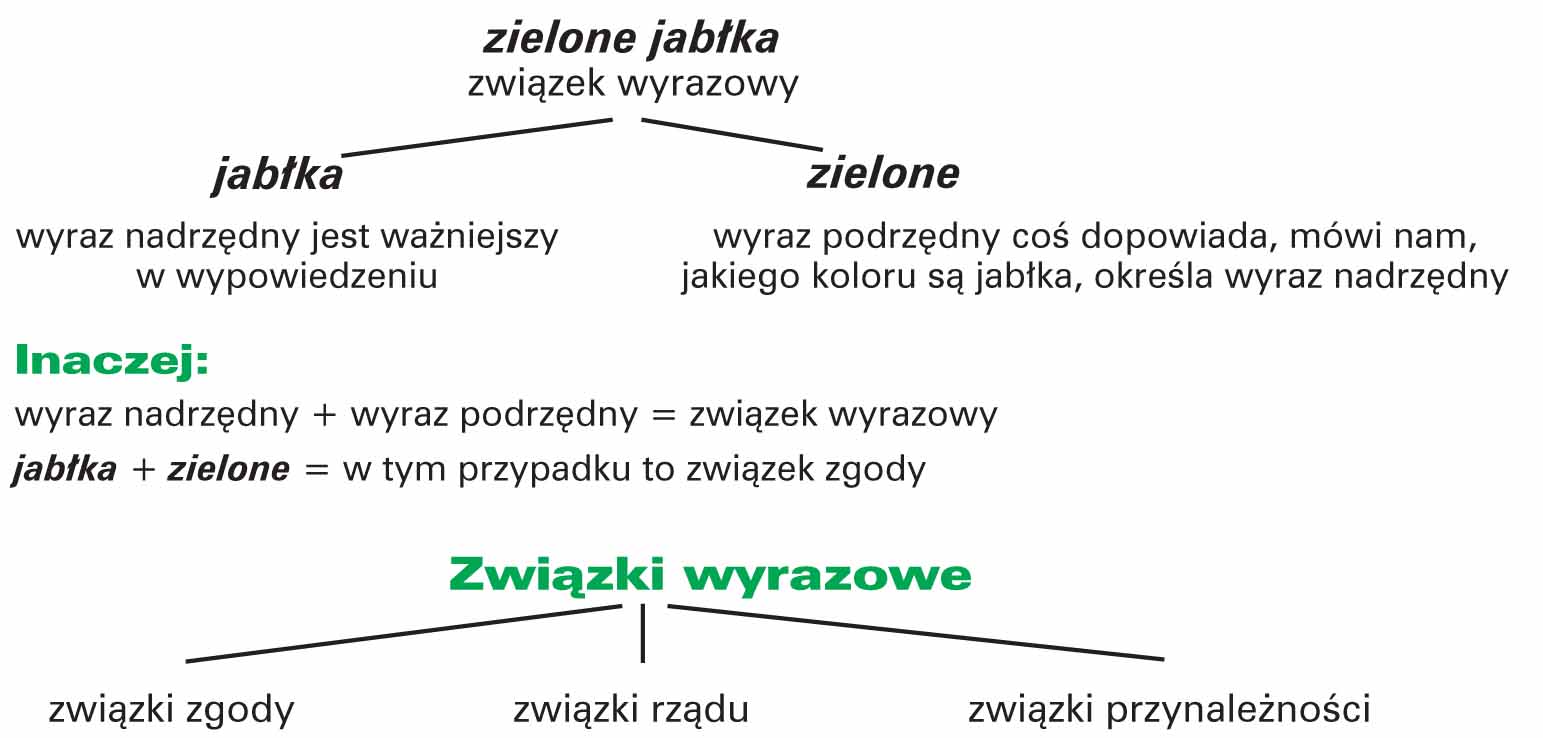 Związki wyrazowe w zdaniach | AleKlasa Części Zdania I Związki Wyrazowe