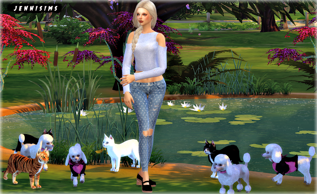 Zwierzaki jako dekoracje — The Sims Polska Mody Do The Sims 4 Na Zwierzaki