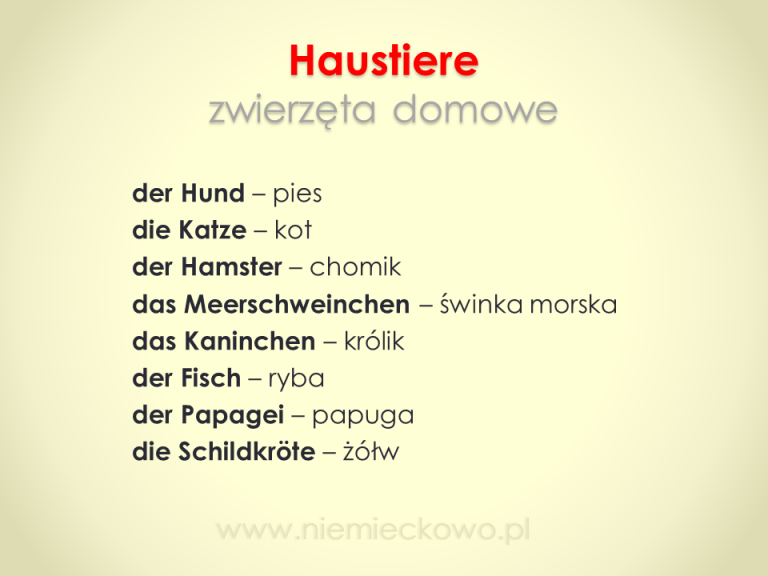 Zwierzęta domowe po niemiecku – 6 zabaw dla dzieci. - Niemieckowo Zwierzeta Po Niemiecku Z Rodzajnikiem