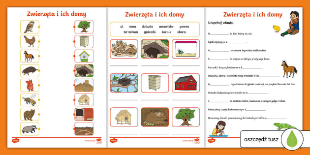 Zwierzęta I Ich Domy Karty Pracy