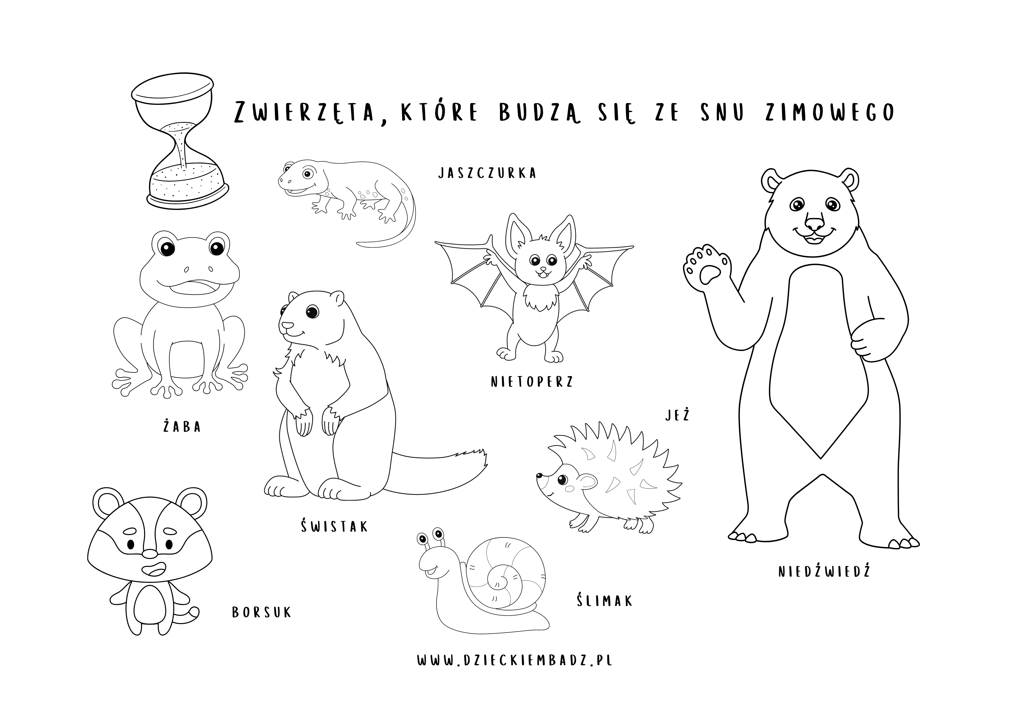 Zwierzęta, które budzą się ze snu zimowego kolorowanki Jakie Zwierzeta Budza Sie Ze Snu Zimowego