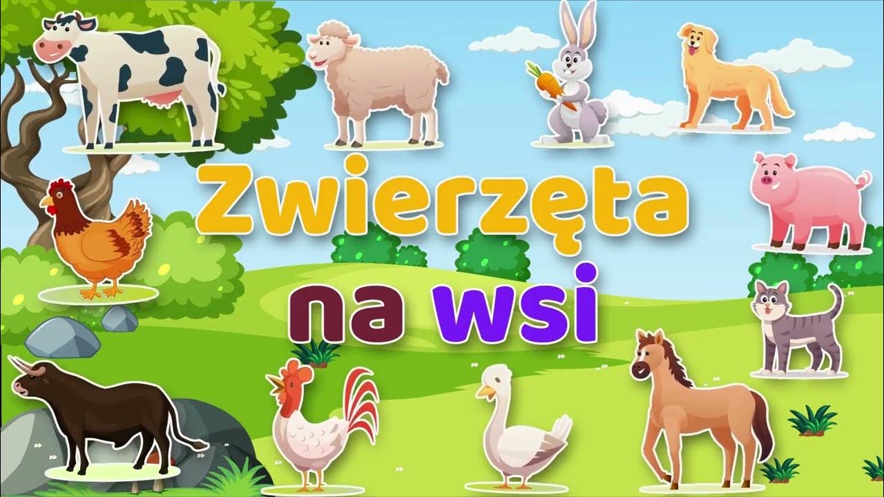 Zwierzęta na Wsi I Odgłosy Zwierząt I Nauka Zwierząt I Przedszkole I Przyjrzyj Sie Imionom Zwierzat Co Mozna Zauwazyc