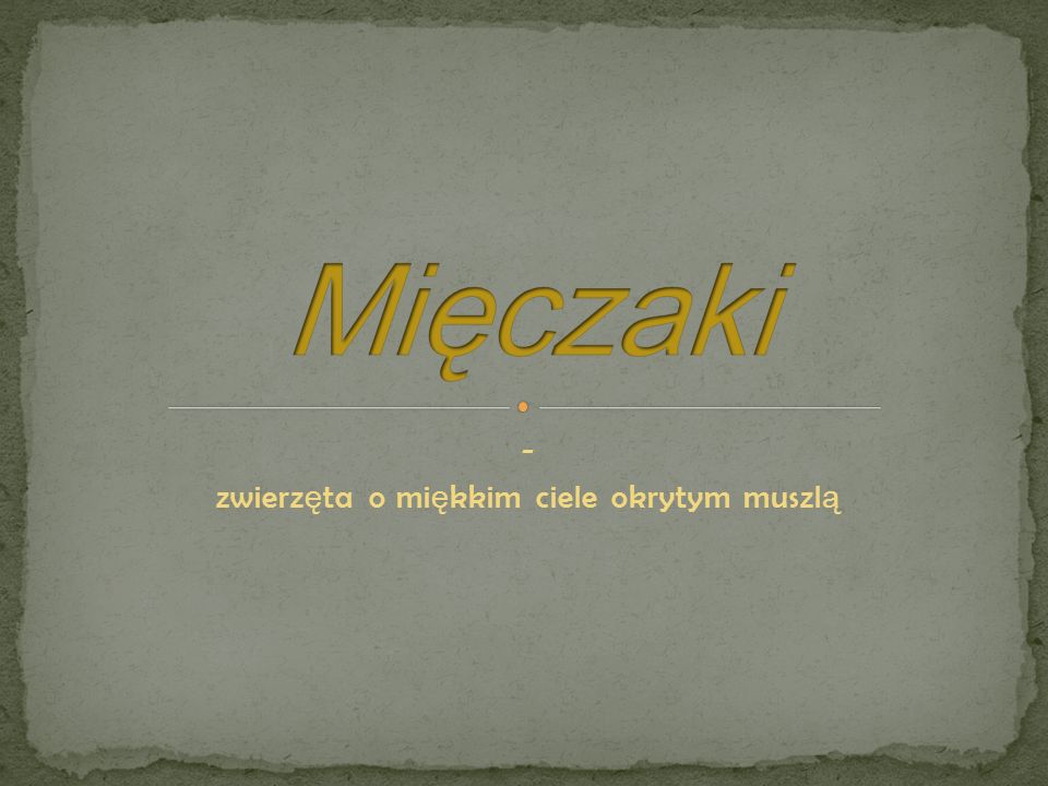 Mięczaki Zwierzęta O Miękkim Ciele Okrytym Muszlą