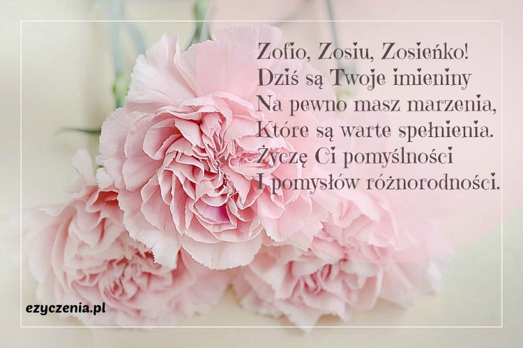 Zyczenia Imieninowe Dla Cioci / Życzenia urodzinowe dla mamy od syna i życzenia Dla Zosi Na Imieniny
